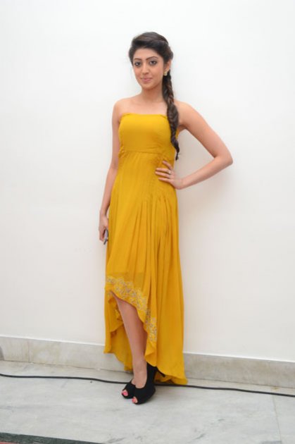 Alludu-Seenu-Audio-Launch